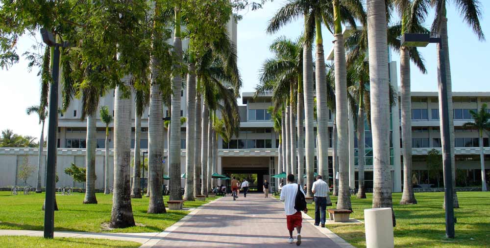 University of Miami với Học bổng toàn phần Isaac Bashevis Singer